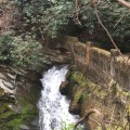 Nonprofit Organizations in Fort Mill, South Carolina: Needs and Priorities